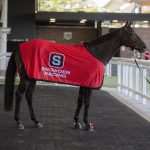 Horse Mesh Rug