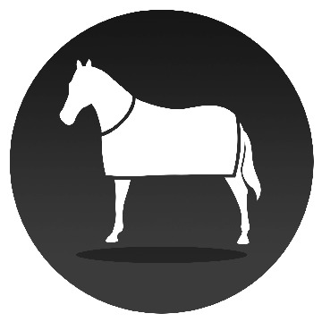 Trainers and Stables